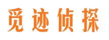 平坝侦探公司